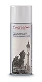 Conté à Paris - Spray fijador para pastel y carboncillo, 400 ml