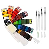 BBLIKE Set de pintura de acuarela - Caja de almacenamiento de ventilador con 4 pintura al agua cepillo - Pintura de acuarela portátil... (ver más)